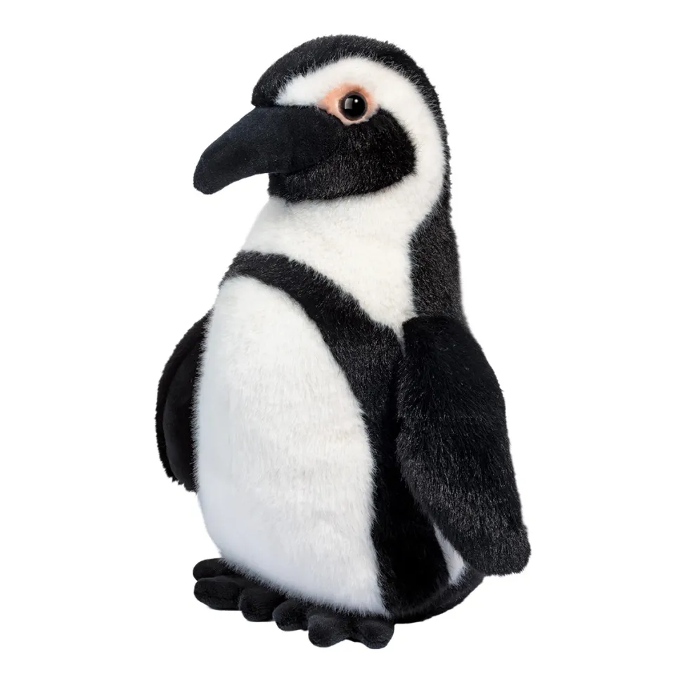 Zuri African Penguin